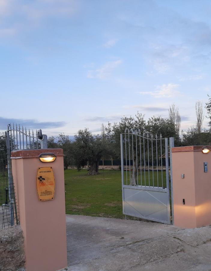 Villa Marianna Αλγκέρο Εξωτερικό φωτογραφία