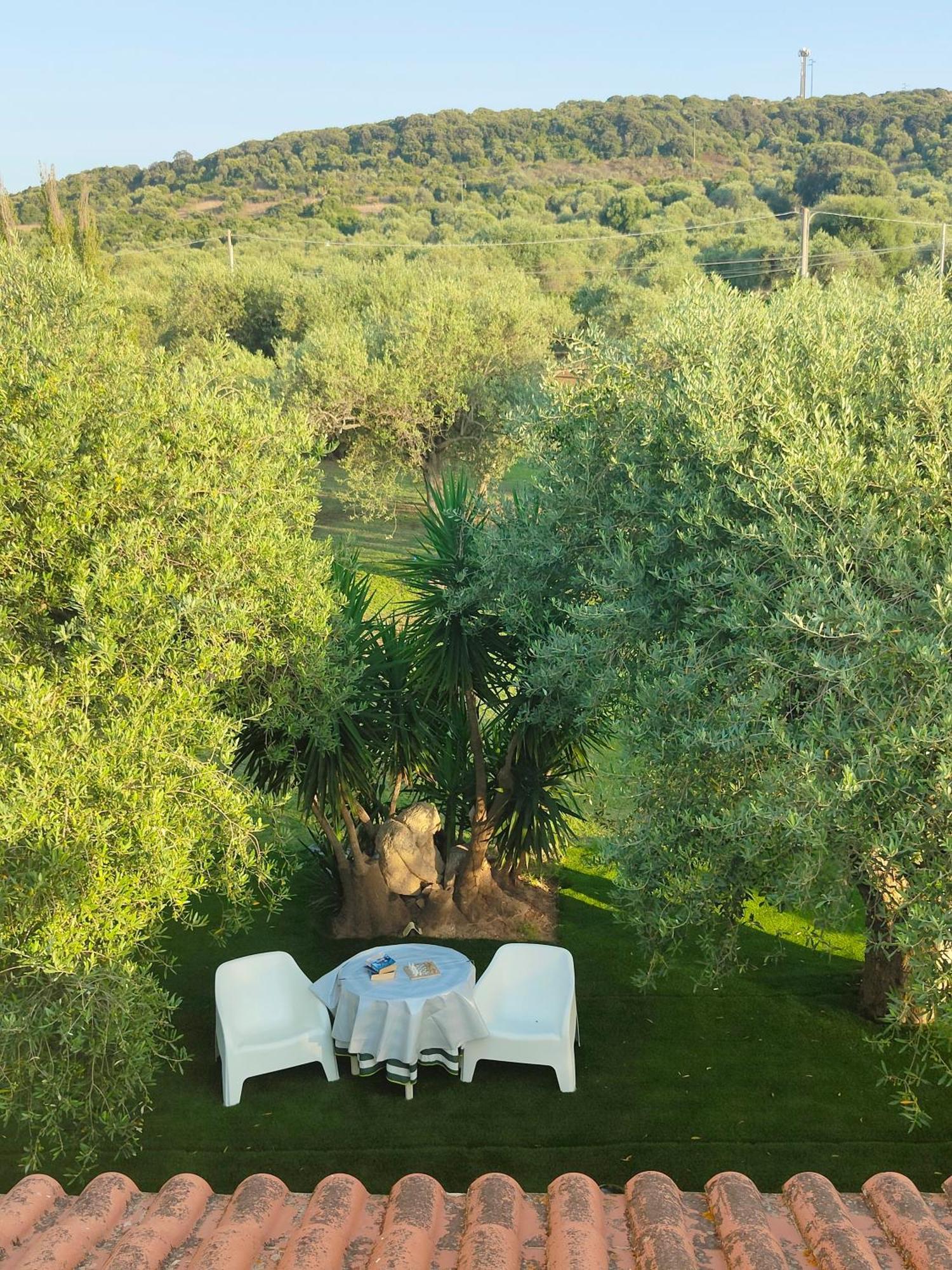 Villa Marianna Αλγκέρο Εξωτερικό φωτογραφία